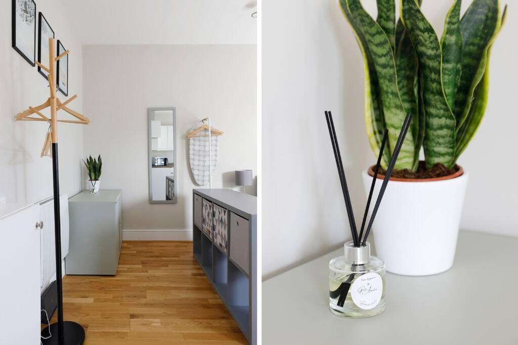 Cosy Studio Flat Moments From The Beach, Kemptown Hove Exteriér fotografie